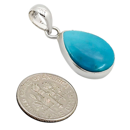 Natural Rare Turquoise Nevada Aztec Mt Pendant P-1001 27-EP11169