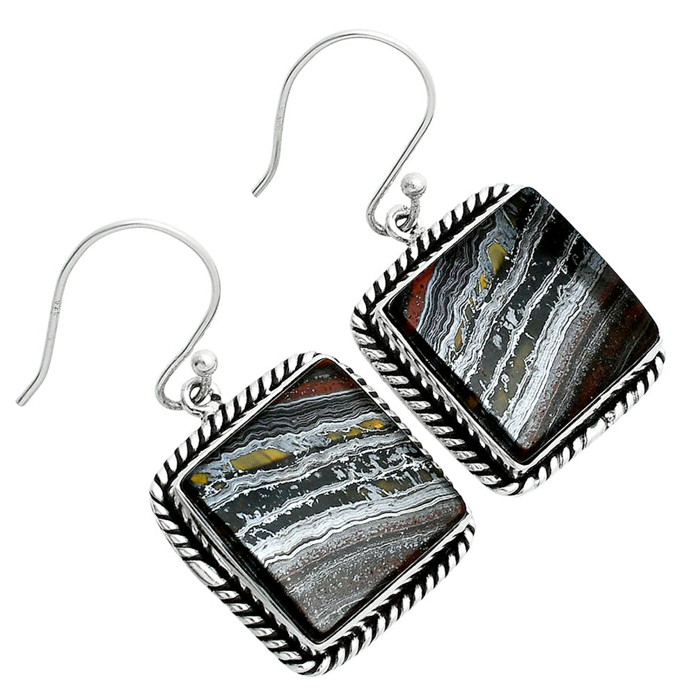 Natural Iron Tiger Eye Earrings E-1055 51-EE10399