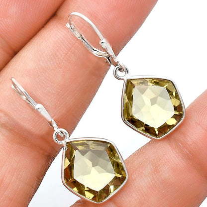 925 Sterling Silver Geometric Gemstone Lever Back Earrings for Women AGE1014 E-1254