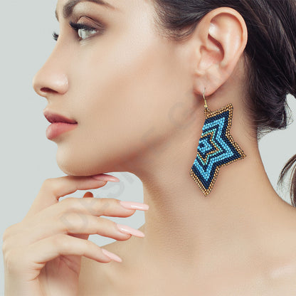 Colorful Beaded Earrings,Hook Dangle Earrings, Bohemia Boho Tassel Earrings FER1012