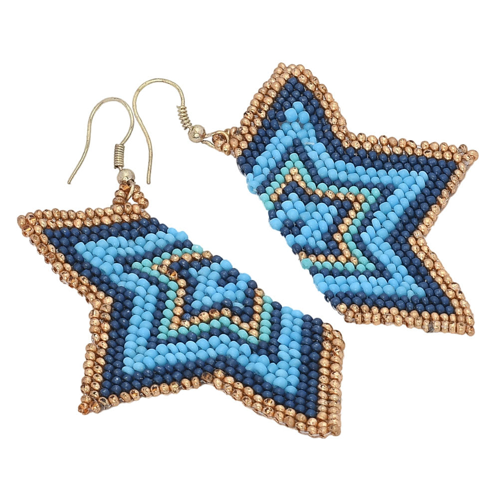 Colorful Beaded Earrings,Hook Dangle Earrings, Bohemia Boho Tassel Earrings FER1012