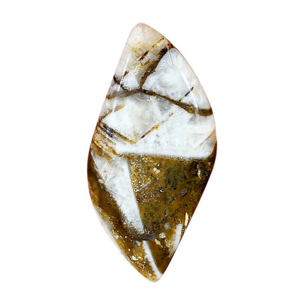 Wild Horse Jasper 43.12x20.77x5 mm Fancy Gemstone LS01158-15