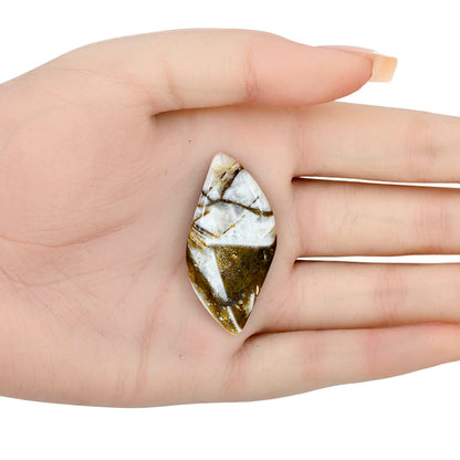 Wild Horse Jasper 43.12x20.77x5 mm Fancy Gemstone LS01158-15