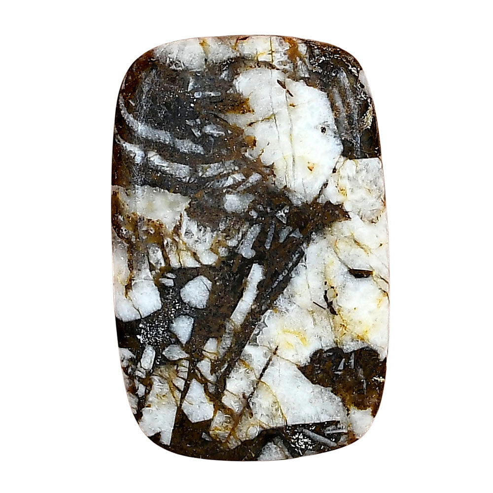 Wild Horse Jasper 34.16x22.14x4.5 mm Cushion Gemstone LS01161-15