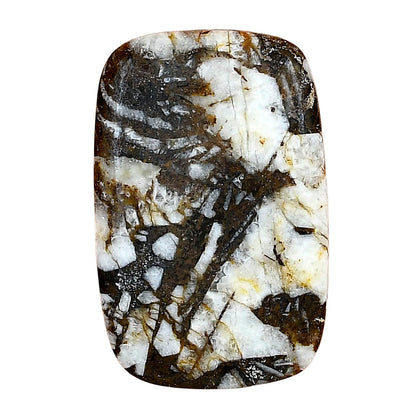 Wild Horse Jasper 34.16x22.14x4.5 mm Cushion Gemstone LS01161-15
