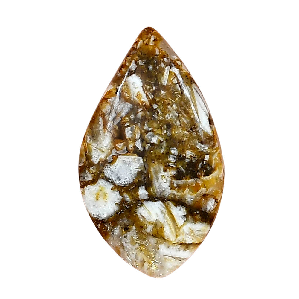 Wild Horse Jasper 32x18.53x5.5 mm Pear Gemstone LS01163-15