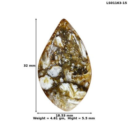 Wild Horse Jasper 32x18.53x5.5 mm Pear Gemstone LS01163-15