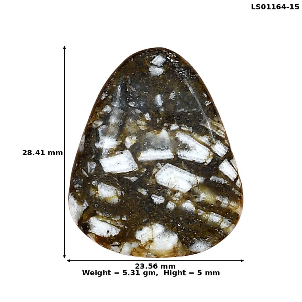 Wild Horse Jasper 28.41x23.56x5 mm Fancy Gemstone LS01164-15