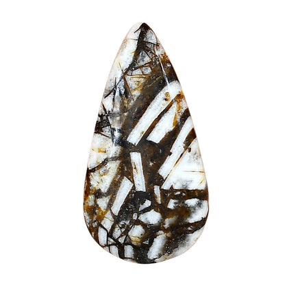 Wild Horse Jasper 34.83x18.22x5.5 mm Pear Gemstone LS01169-15
