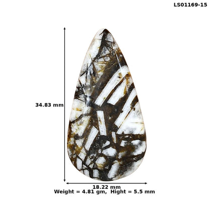 Wild Horse Jasper 34.83x18.22x5.5 mm Pear Gemstone LS01169-15