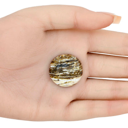 Stick Agate 25x25x6 mm Round Gemstone LS01179-16