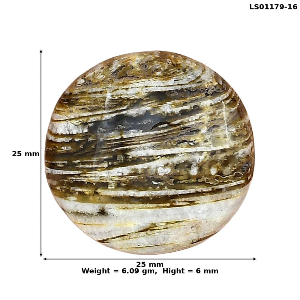 Stick Agate 25x25x6 mm Round Gemstone LS01179-16