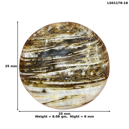 Stick Agate 25x25x6 mm Round Gemstone LS01179-16