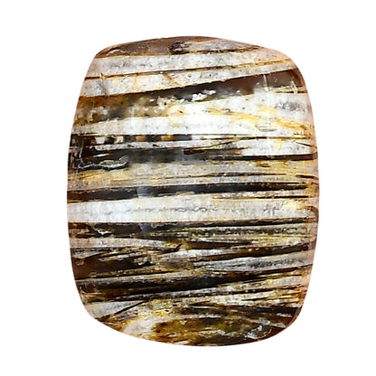 Stick Agate 25.4x20.7x7.7 mm Cushion Gemstone LS01182-16