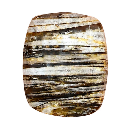 Stick Agate 25.4x20.7x7.7 mm Cushion Gemstone LS01182-16
