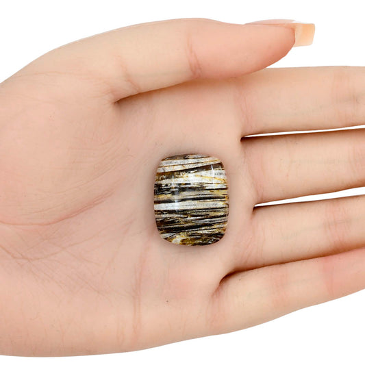 Stick Agate 25.4x20.7x7.7 mm Cushion Gemstone LS01182-16
