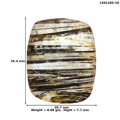 Stick Agate 25.4x20.7x7.7 mm Cushion Gemstone LS01182-16