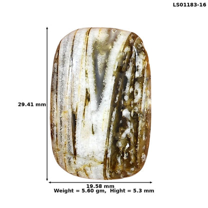 Stick Agate 29.41x19.58x5.3 mm Cushion Gemstone LS01183-16