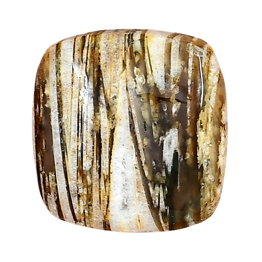 Stick Agate 22x21.19x6 mm Cushion Gemstone LS01195-16