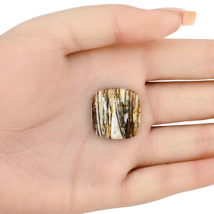 Stick Agate 22x21.19x6 mm Cushion Gemstone LS01195-16