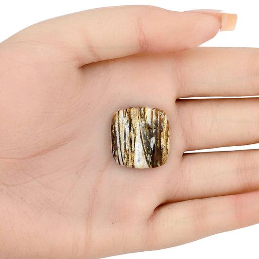 Stick Agate 22x21.19x6 mm Cushion Gemstone LS01195-16