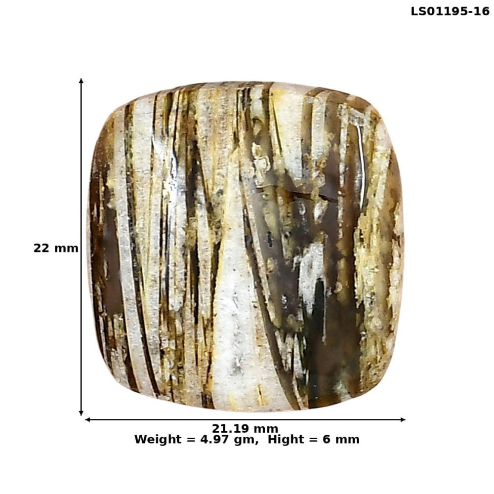 Stick Agate 22x21.19x6 mm Cushion Gemstone LS01195-16