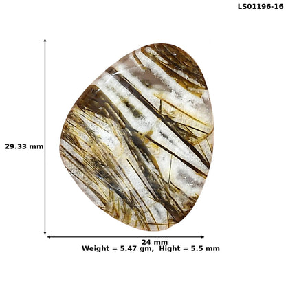 Stick Agate 29.33x24x5.5 mm Fancy Gemstone LS01196-16