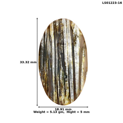 Stick Agate 33.32x18.91x5 mm Oval Gemstone LS01223-16