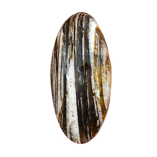 Stick Agate 31x14.46x5.7 mm Oval Gemstone LS01229-16