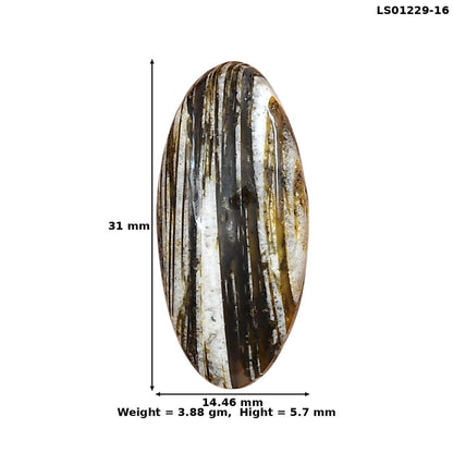 Stick Agate 31x14.46x5.7 mm Oval Gemstone LS01229-16