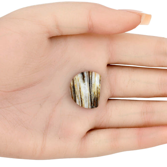 Stick Agate 20.91x17.43x5 mm Fancy Gemstone LS01234-16