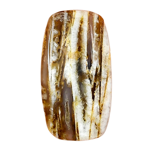 Stick Agate 27.72x15.13x5 mm Cushion Gemstone LS01240-16