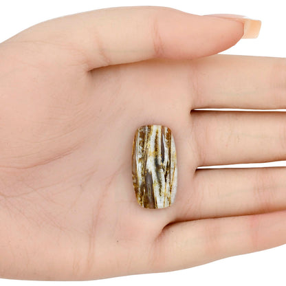 Stick Agate 27.72x15.13x5 mm Cushion Gemstone LS01240-16