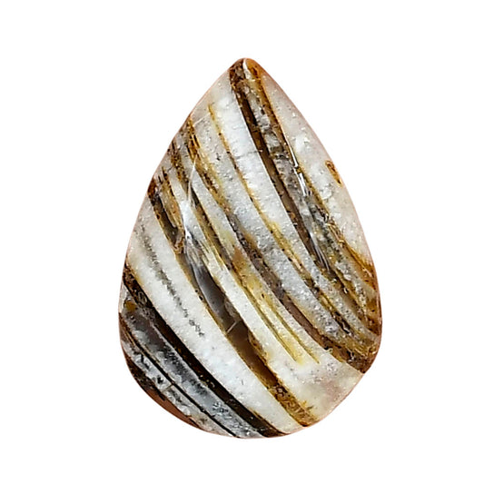 Stick Agate 22.46x15.3x5 mm Pear Gemstone LS01244-16