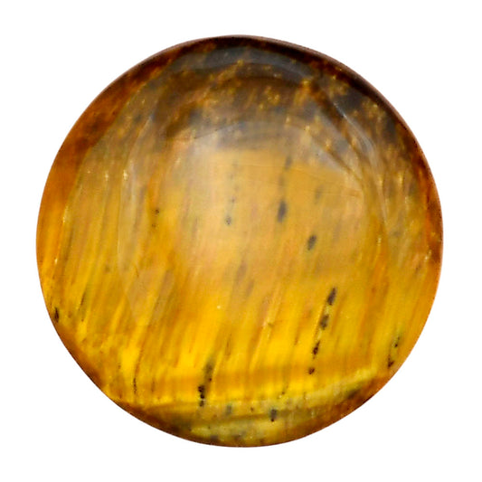 Blue Tiger Eye 24.4x24.4x5.5 mm Round Gemstone LS01254-17