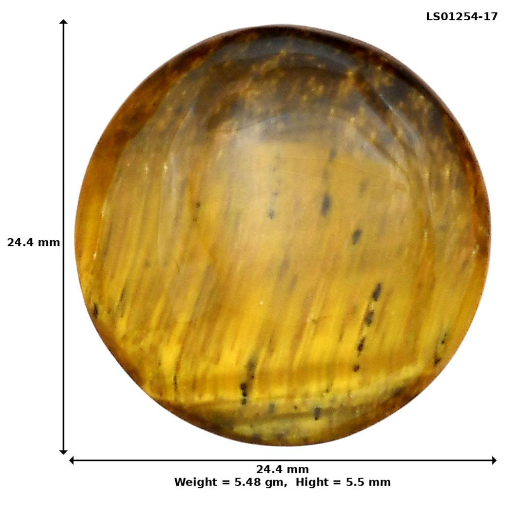 Blue Tiger Eye 24.4x24.4x5.5 mm Round Gemstone LS01254-17