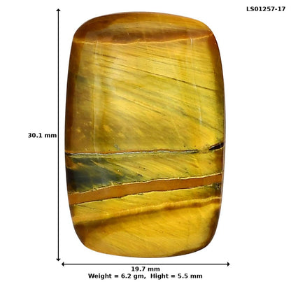 Blue Tiger Eye 30.1x19.7x5.5 mm Cushion Gemstone LS01257-17