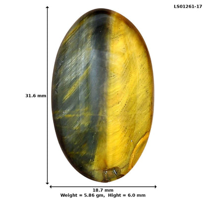 Blue Tiger Eye 31.6x18.7x6 mm Oval Gemstone LS01261-17