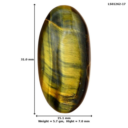 Blue Tiger Eye 31x15.1x7 mm Oval Gemstone LS01262-17