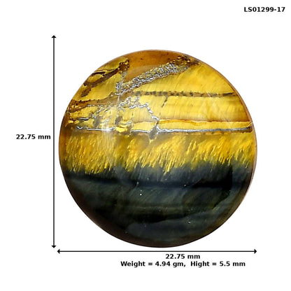 Blue Tiger Eye 22.75x22.75x5.5 mm Round Gemstone LS01299-17