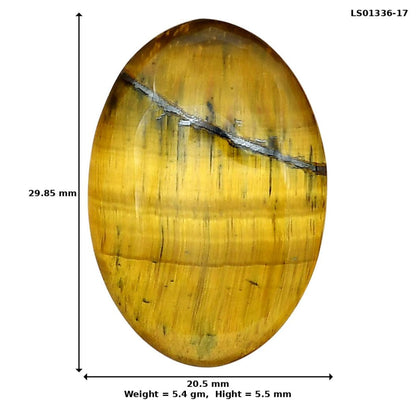 Blue Tiger Eye 29.85x20.5x5.5 mm Oval Gemstone LS01336-17