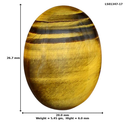 Blue Tiger Eye 26.7x20x6 mm Oval Gemstone LS01347-17
