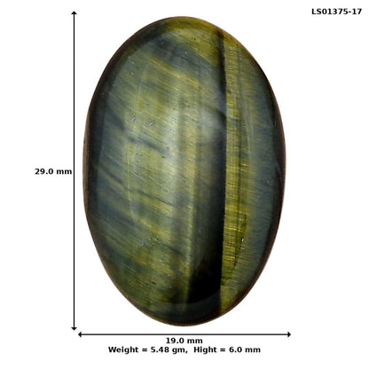 Blue Tiger Eye 29x19x6 mm Oval Gemstone LS01375-17