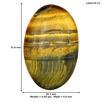 Blue Tiger Eye 31.6x20.3x6 mm Oval Gemstone LS01379-17