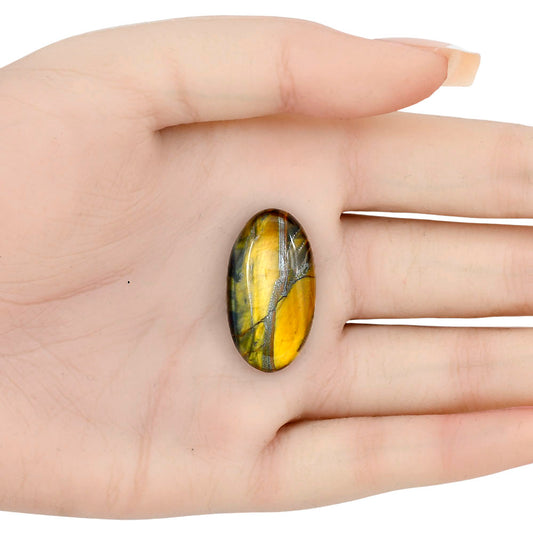Blue Tiger Eye 29x16x6.5 mm Oval Gemstone LS01385-17