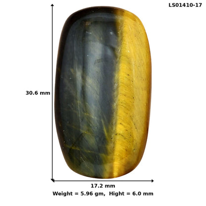 Blue Tiger Eye 30.6x17.2x6 mm Cushion Gemstone LS01410-17