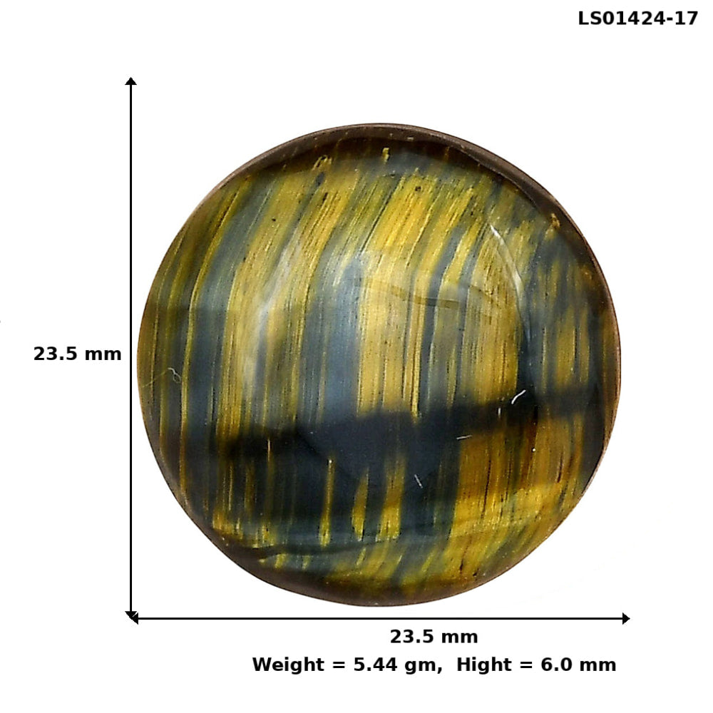 Blue Tiger Eye 23.5x23.5x6 mm Round Gemstone LS01424-17