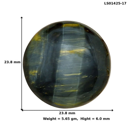 Blue Tiger Eye 23.8x23.8x6 mm Round Gemstone LS01425-17