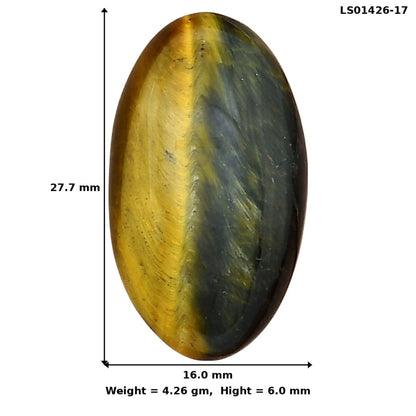 Blue Tiger Eye 27.7x16x6 mm Oval Gemstone LS01426-17