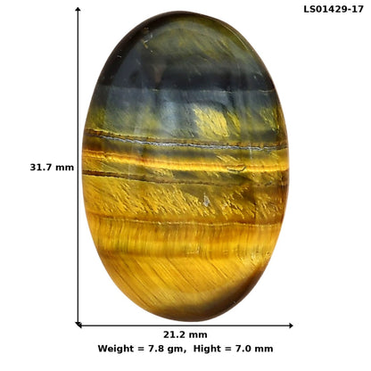 Blue Tiger Eye 31.7x21.2x7 mm Oval Gemstone LS01429-17